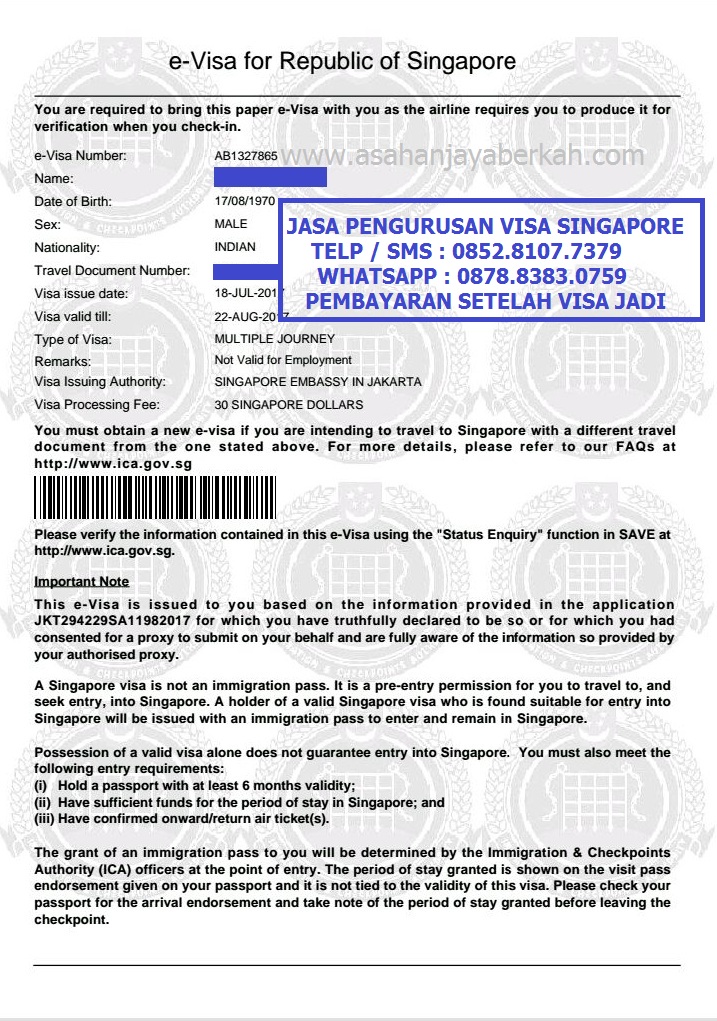 Нужна ли виза в сингапур 2024. Электронная виза в Сингапур. Отказ в визе в Сингапур. Рабочая виза в Сингапур. Как выглядит виза в Сингапур.