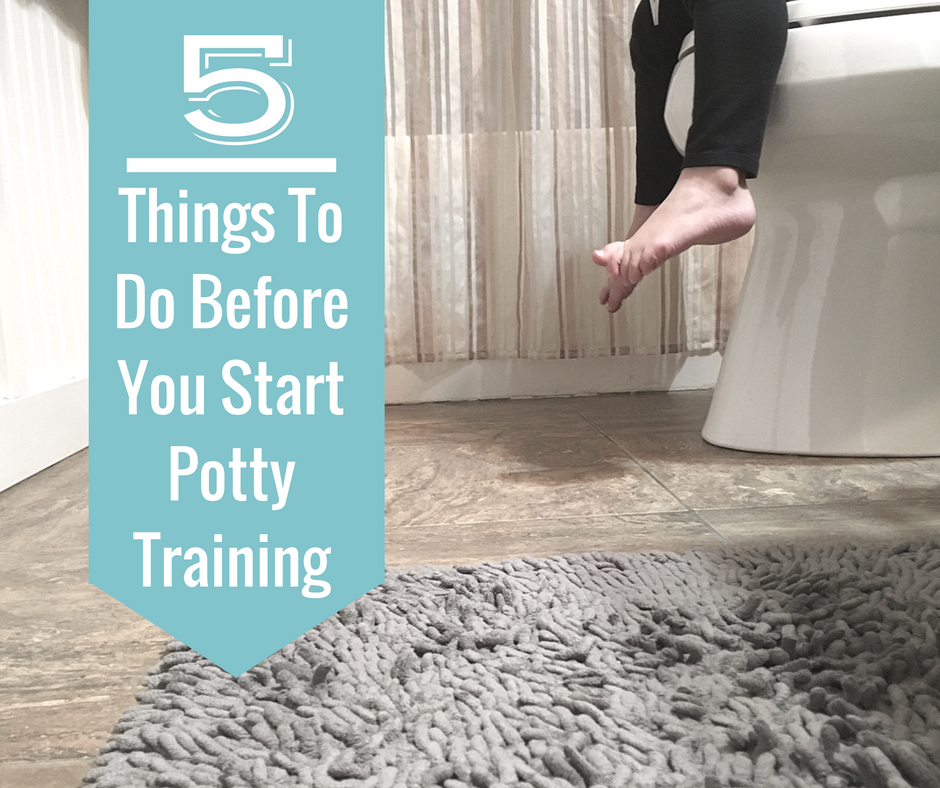 5 Things To Do Before You Start Potty Training Chronicles of a
