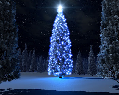 funny wallpapers-hd wallpapers-Desktop wallpapers: christmas tree wallpaper