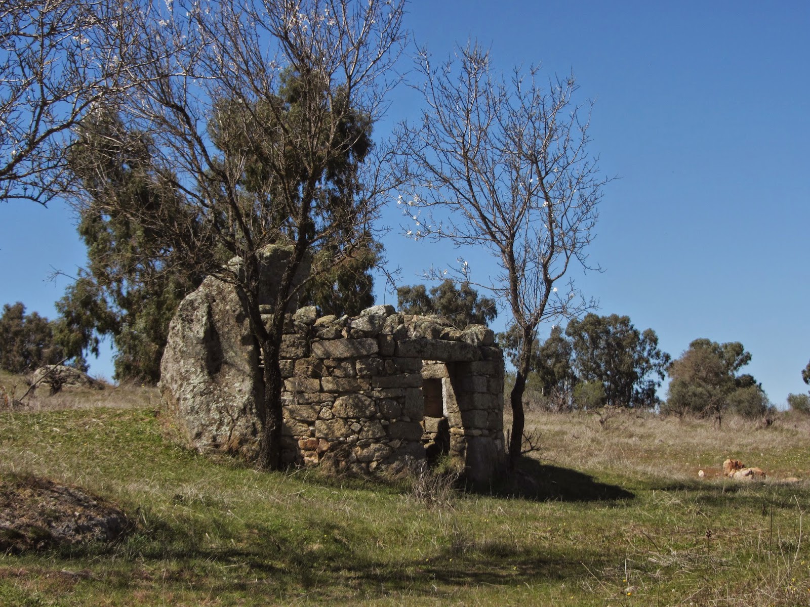 Chozas de Córdoba.: Choza II Viñas Viejas (Belalcázar).