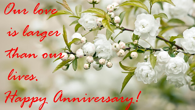 happy anniversary wishes Wedding Anniversary Wishes to a couple., including anniversary quotes, sayings, anniversary wishes with images HD , Download Beautiful HD Happy Marriage Anniversary Images