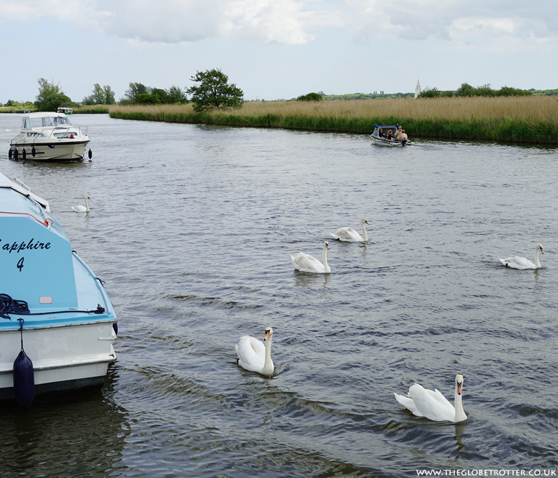 Boating Holiday on the Norfolk Broads