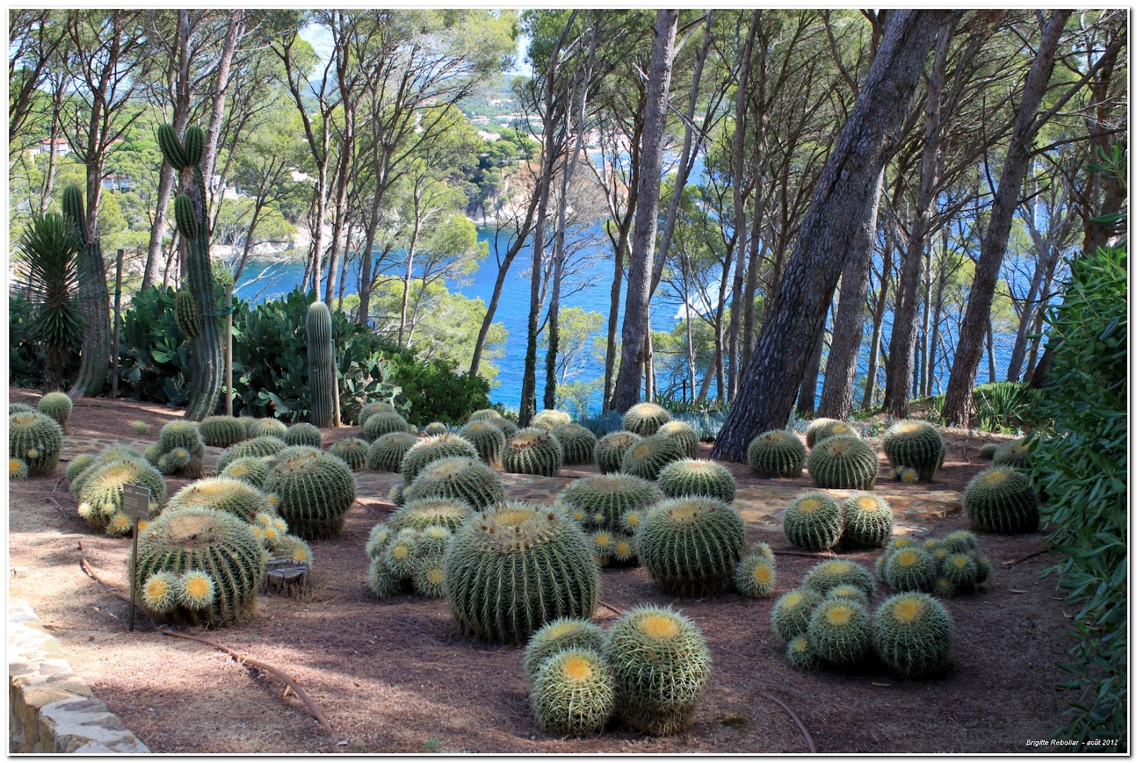 De Moi à Vous Jardin botanique de Cap Roig De Moi à Vous Jardin botanique de Cap Roig