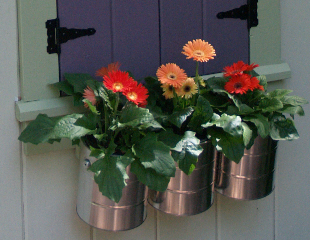 DIY Paint Can Flower Box