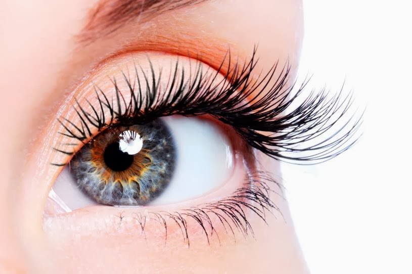 will eyelashes grow back