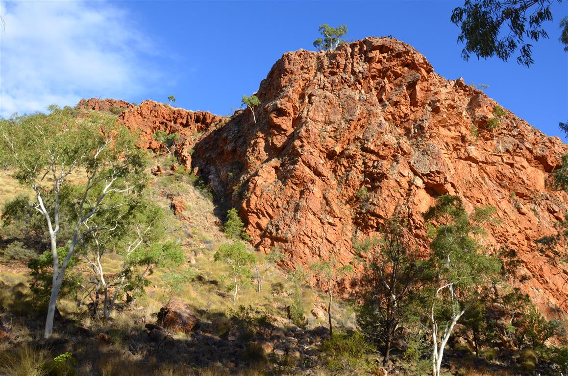 Australien 2013: West Macdonnell Ranges-Kings Canyon