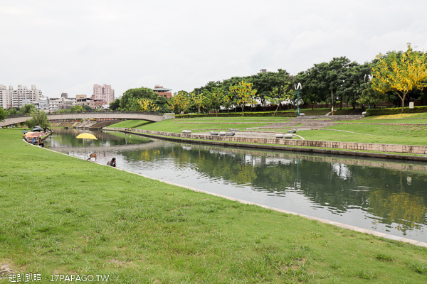 台中大里|興大康橋水岸公園|景觀橋|阿勃勒|落羽松|大里最美河畔 台中大里|興大康橋水岸公園|景觀橋|阿勃勒|落羽松|大里最美河畔