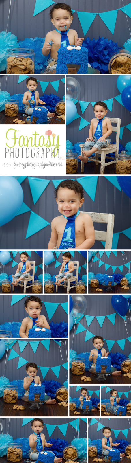cake smash photographers in winston salem nc | greensboro high point kernersville cake smash photographers in winston salem nc | greensboro high point kernersville
