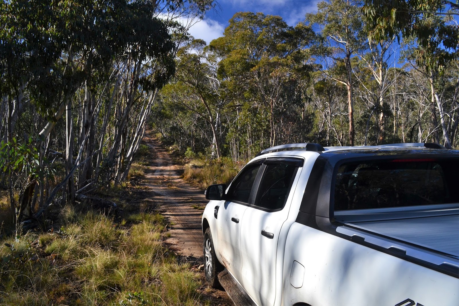 Goin' Feral One Day At A Time Mount Speculation, Alpine National Park June 2017