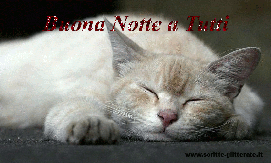 EMOZIONANDO LA MIA BUONA NOTTE jpg (555x333)