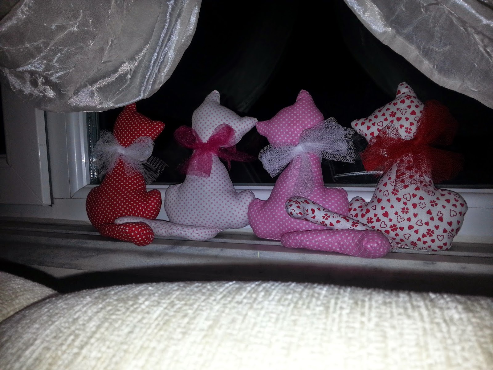 hobişko camdan bakan kedi