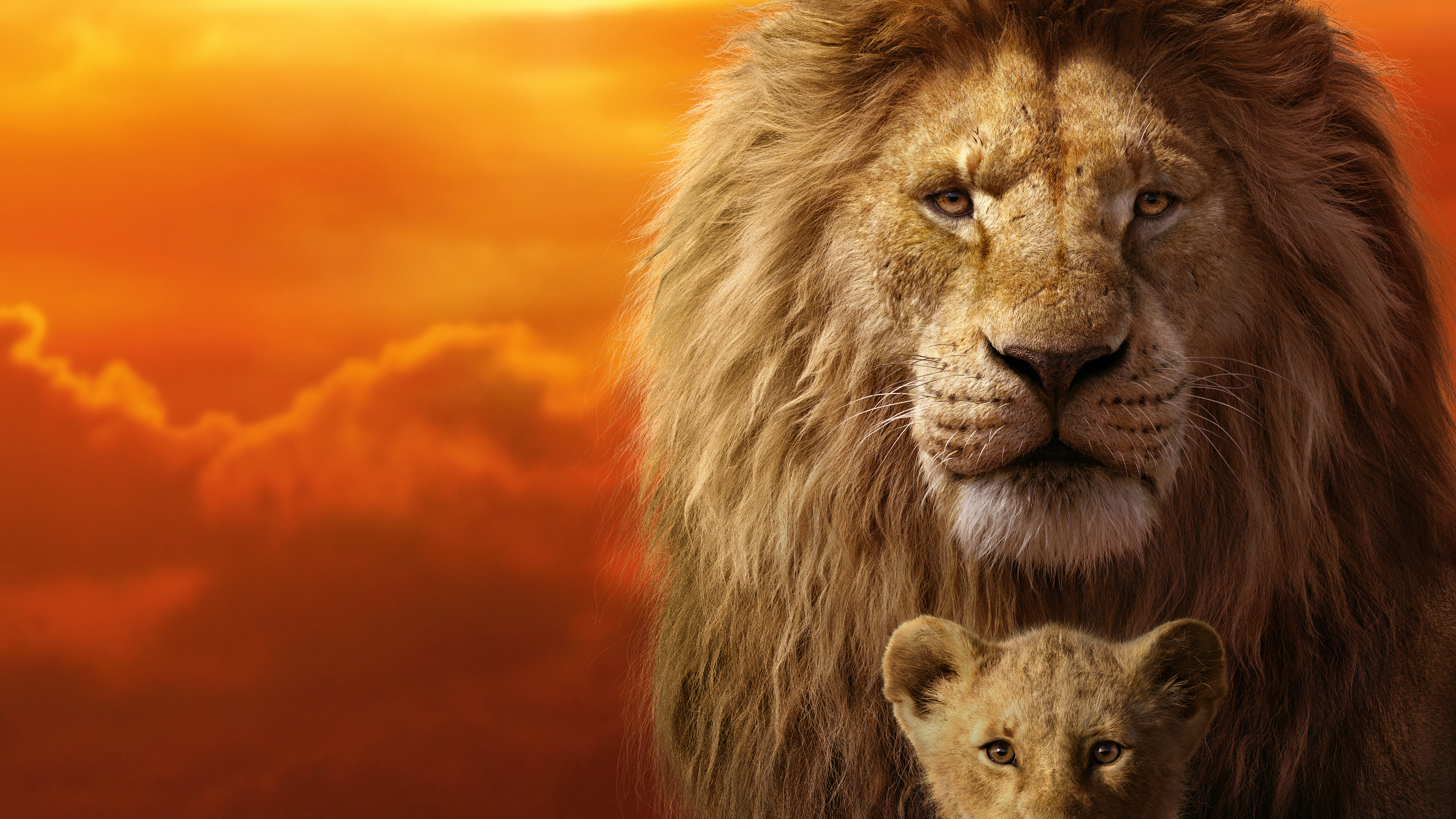 The Lion King 2019 Mufasa Simba 8k Wallpaper 12