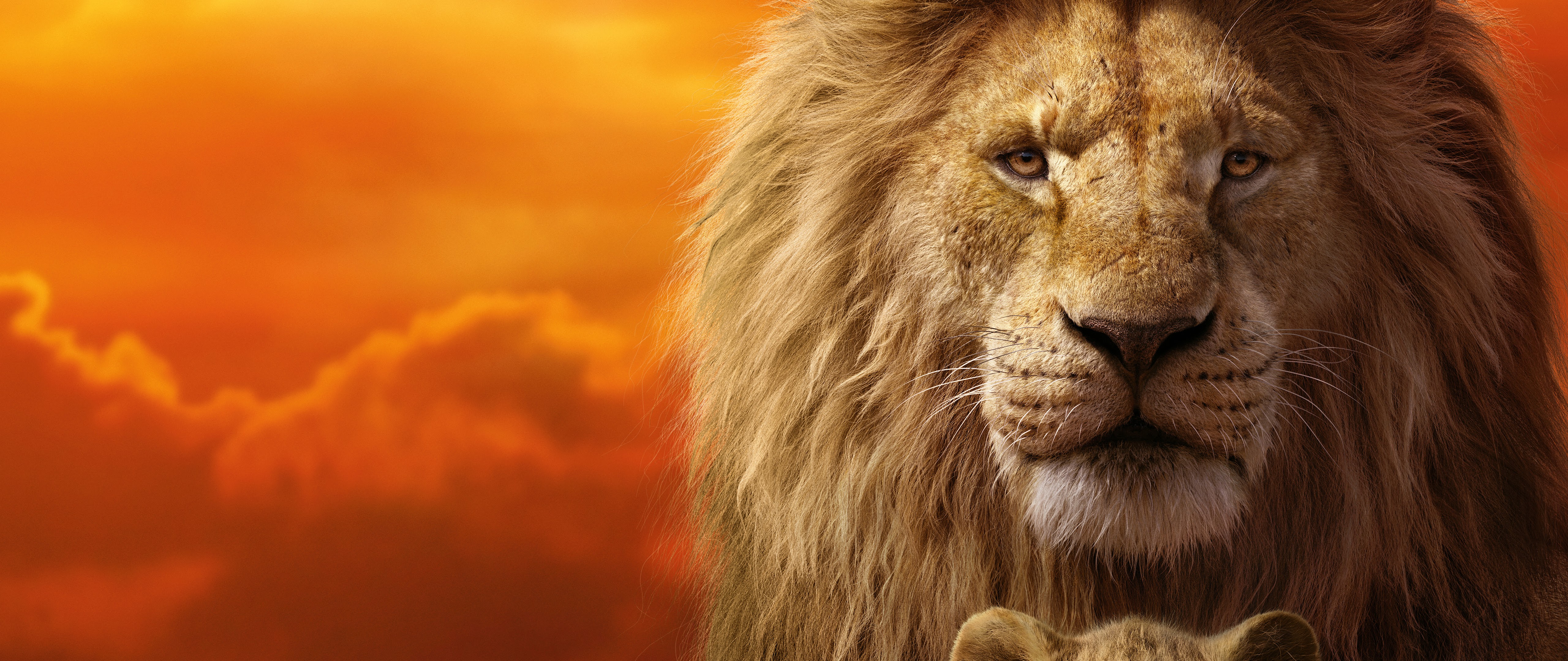 шрам король лев арт. Friday feat mufasa. The lion king 2019 король симба. король лев фильм 2019. Friday riton nightcrawlers mufasa hypeman.