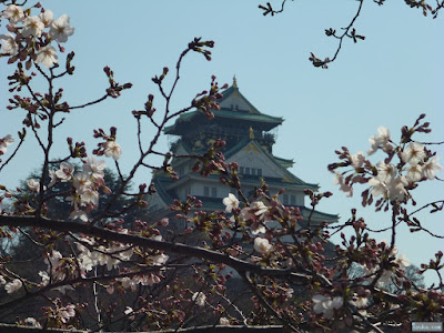 大阪城 大阪城