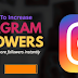 How to Increase Followers In Instagram