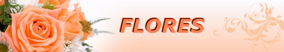 Flores, cultivo e significado das flores