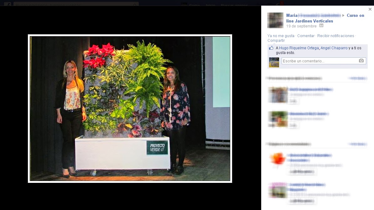 curso online jardines verticales curso online jardines verticales