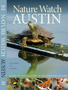 Nature Watch Austin