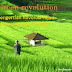 Pengertian Revolusi Hijau, Pilar dan Teknik serta Dampak Revolusi Hijau, Green Revolution.