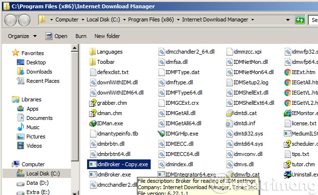 Скопируйте 1 файл idmBroker