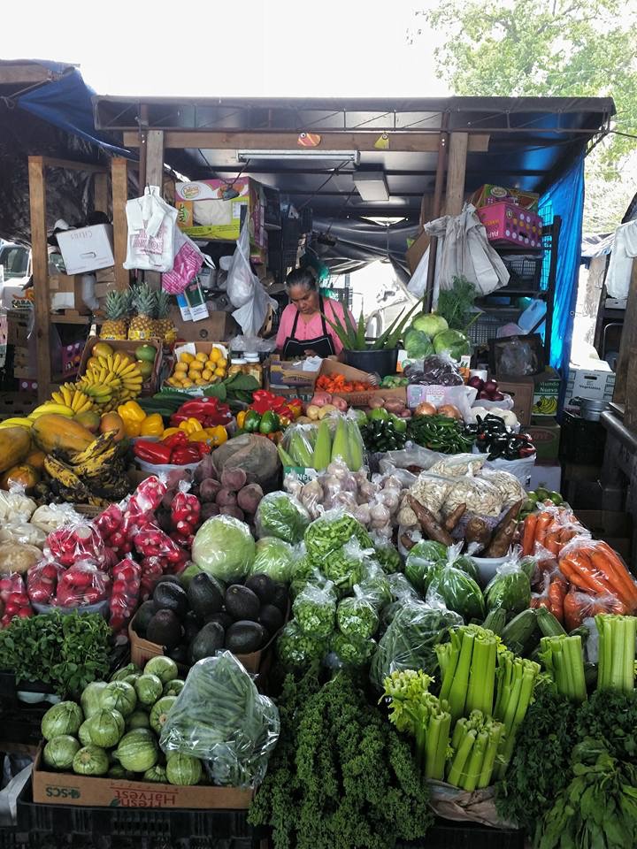 Houston Food Explorers Mexican Market Tour Houston