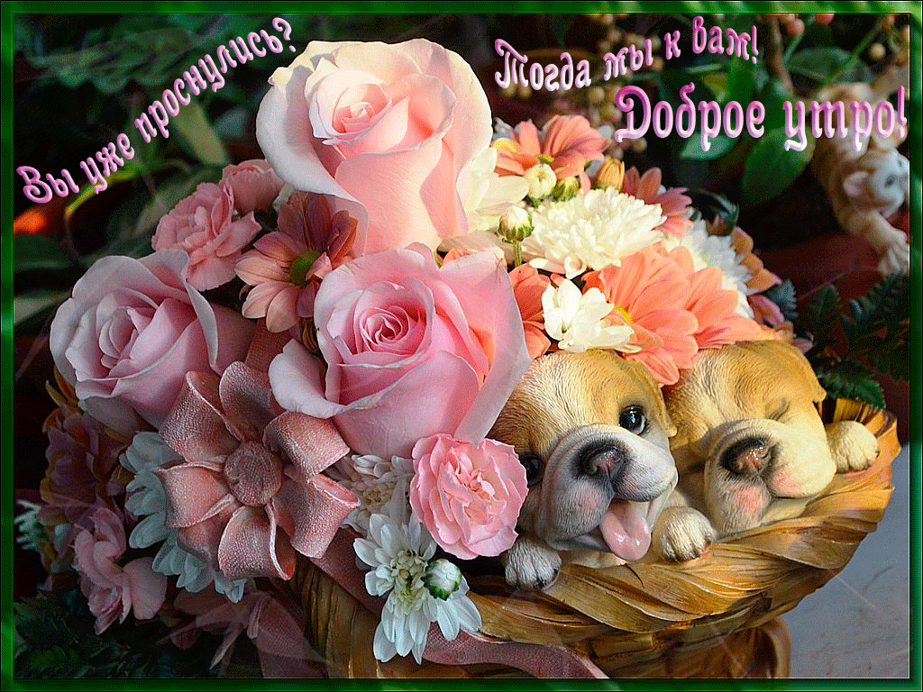 https://4.bp.blogspot.com/-kfbp_homaNE/WUgMg-hnpuI/AAAAAAAAssM/orPHGCJ7PRwzoGwmZc7yvn3-ntfMl3aJgCLcBGAs/s1600/DOBR.-utro.gif