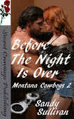 Before The Night Is Over (Montana Cowboys 2)