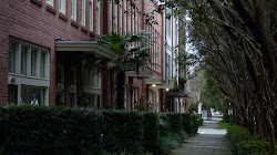 Savannah