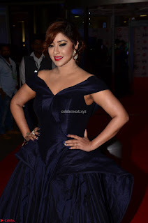 Payal Ghosh aka Harika in Dark Blue Deep Neck Sleeveless Gown at 64th Jio Filmfare Awards South 2017 ~  Exclusive 003