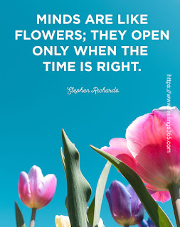The Beauty of Flowers Quotes The Beauty of Flowers Quotes