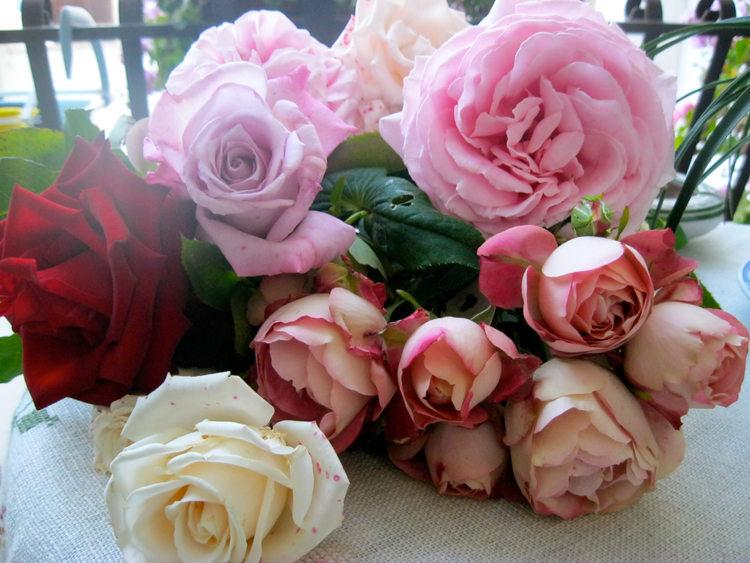 Lavanda & Rose: Le rose che colsi....