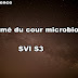 Résumé du cour Microbiologie SVI S3 PDF