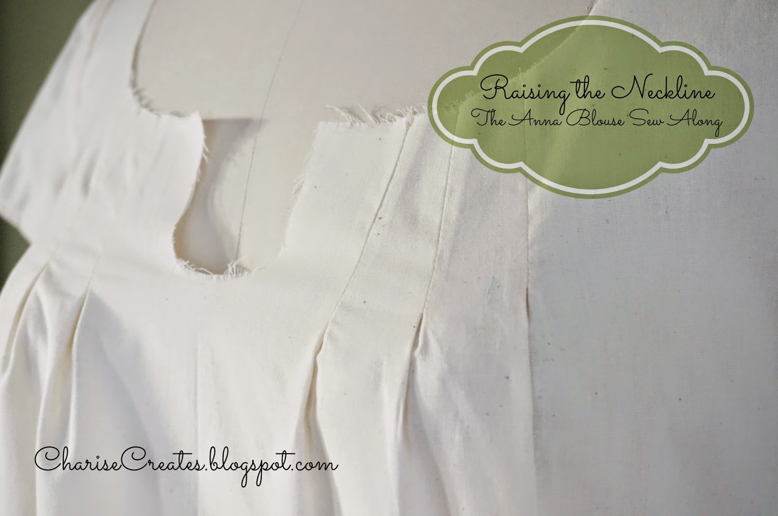 Charise Creates The Anna Blouse Sew Along Pattern Alteration