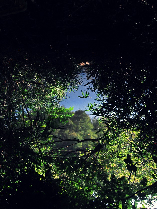 STANDARD CUSTOM PAINT eater