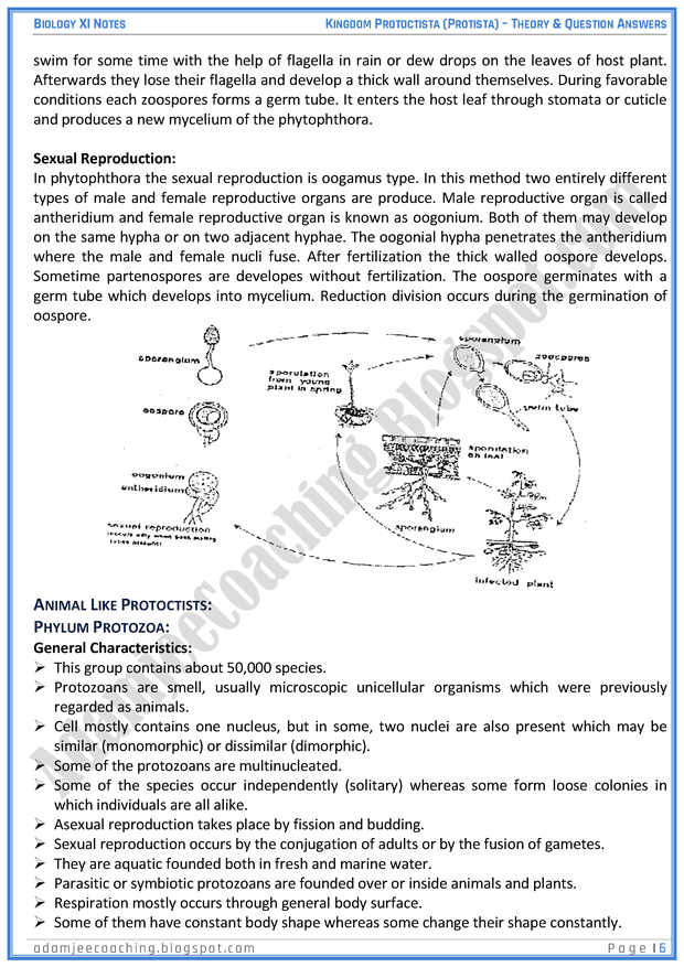 kingdom-protista-protoctista-descriptive-question-answers-biology-11th