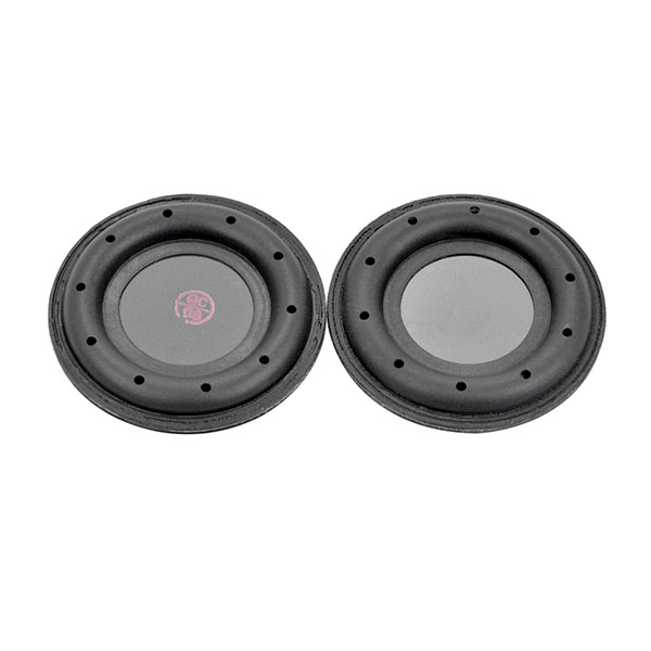 How The Passive Radiator Work(The principles)