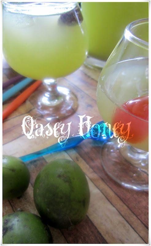 Resepi Jus Epal Asam Boi September Ox