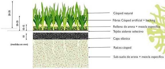 Noticias de San Mamés: Presentación del proyecto de ampliación de la