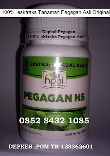 Suplemen otak untuk anak sekolah vitabrain VB centella terbaik asli original Suplemen otak untuk anak sekolah vitabrain VB centella terbaik asli original