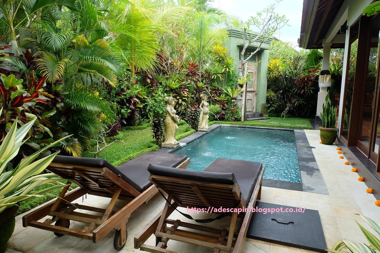 Villa Murah di Ubud, Private Pool dan Host yang Ramah - Helloo... world