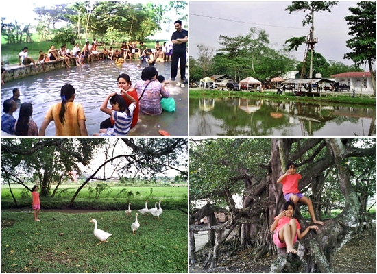 fasilitas-pemandian-way-panas-bumi-natar fasilitas-pemandian-air-panas-merak-batin-natar