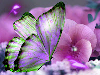 mariposa+morada+purpura+en+flores