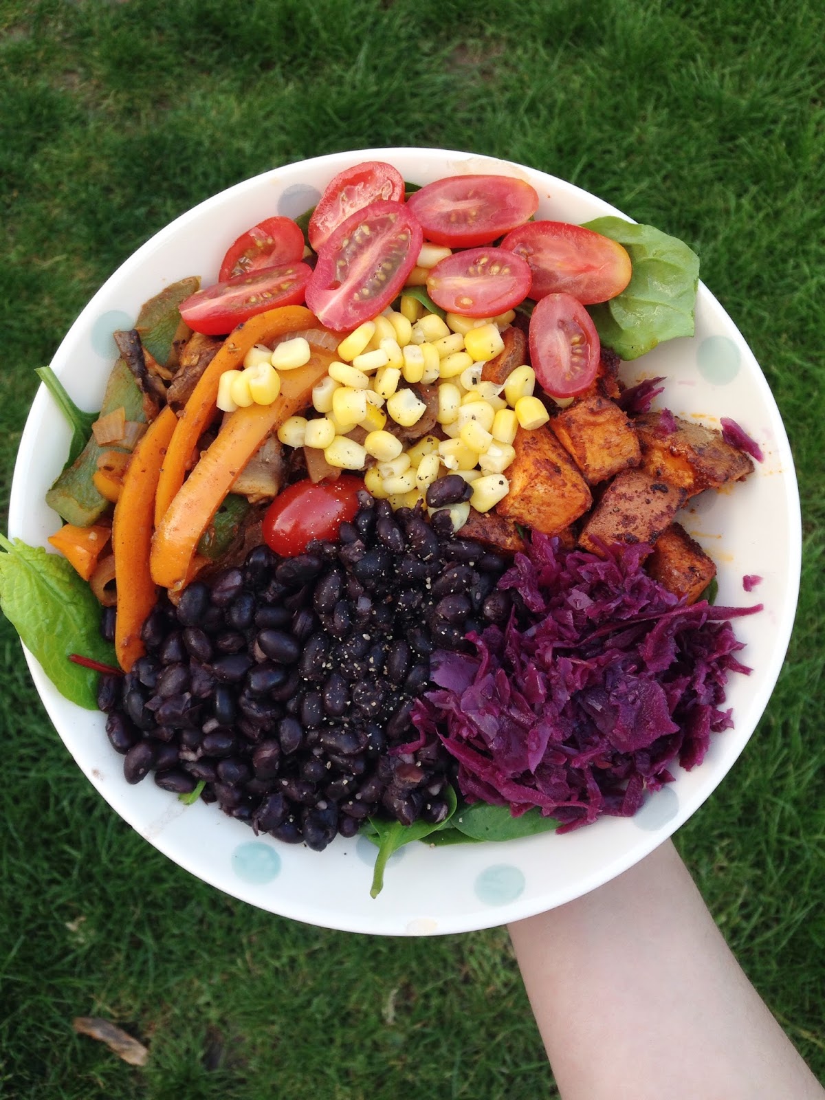  easy vegan dinners my general life