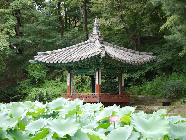 2015,summer 於是我就在韓國了 Day31