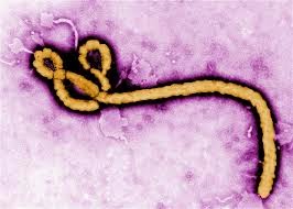 Ο ιός Έμπολα: Το βιο-όπλο της παγκόσμιας ελίτ για την μείωση του πληθυσμού κατά 90 τοις εκατό  