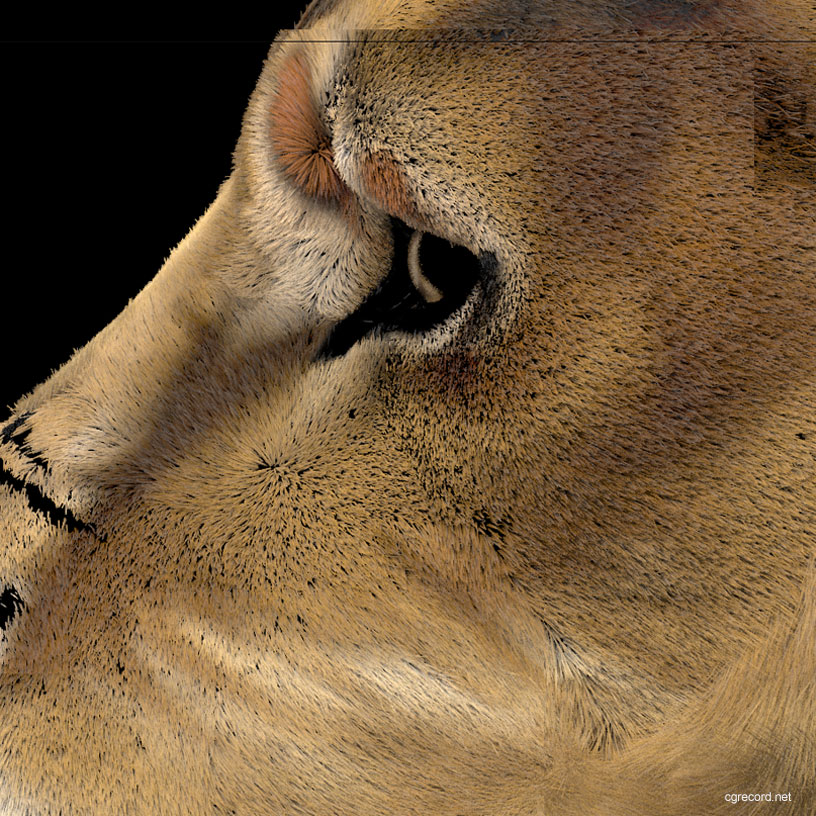 ornatrix 3ds max 2021 ornatrix 3ds max 2021