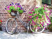 Decorar el jardín con bicicletas viejas, plantas y flores