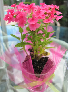 bright pink impatiens