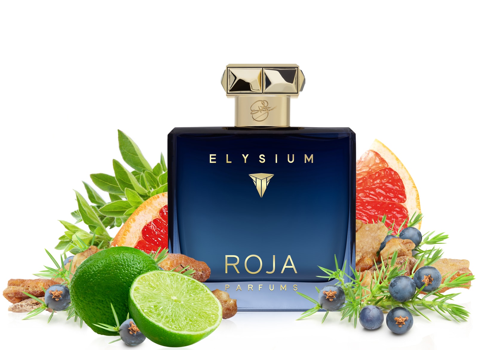 Brooklyn Fragrance Lover: NEW Roja Parfums Elysium for Men Cologne