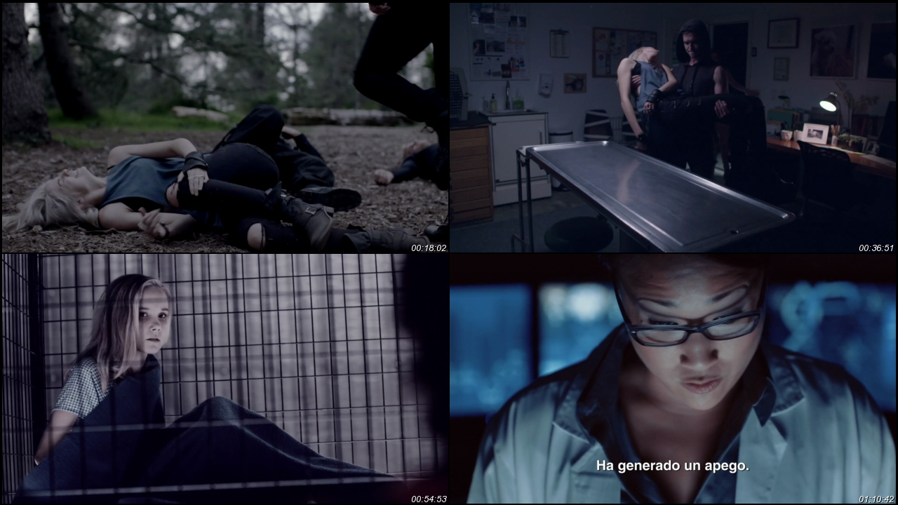 Maximum Ride 2016